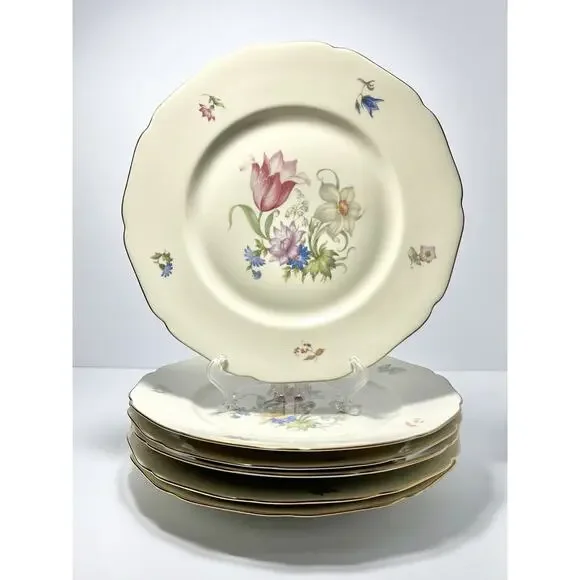 Hutschenreuther & Royal York “Bridal Bouquet (Madeleine)” 6 Dinner Plates 9 5/8” Dinnerware